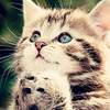 开云首页 - Kaiyun中国官方网站